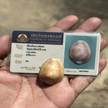 เบี้ยแก้หลวงพ่อซำ วัดตลาดใหม่