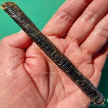 ตะกรุด ลพ.ปาน วัดคลองด่าน เนื้อทองแดง ยาว 5 นิ้ว