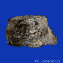 หลวงพ่อทวด วัดพะโคะ พิมพ์เล็ก ปี06(#1)