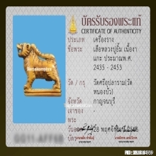 เสือหลวงปู่ยิ้ม วัดหนองบัว จ.กาญจนบุรี