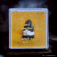 กุมารทองดูดรก หลวงปู่หงษ์  วัดเพชรบุรี ปี 53 เนื้อผงดิน