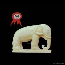 ช้าง หลวงปู่ทิมวัดละหารไร่ แชมป์ตัวจริง