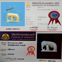 ช้าง หลวงปู่ทิมวัดละหารไร่ แชมป์ตัวจริง