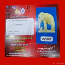 ช้าง หลวงปู่ทิมวัดละหารไร่ แชมป์ตัวจริง