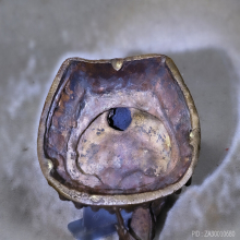 อวโลกิเตศวร ดินไทยเก่าๆ หน้าตัก 3 นิ้ว