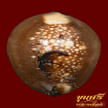 เบี้ยแก้ หลวงพ่อย้ง วัดบางแคกลาง