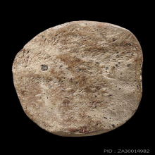 พระขุนแผนใบพุทธา กรุวัดใหญ่ชัยมงคล จ.อยุธยา