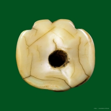 เขี้ยวเสือแกะ พ่อท่านหมุน วัดเขาแดงออก จ.พัทลุง