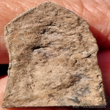 เขมรขนนก เนื้อชินตะกั่ว