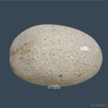 ลูกอมผง หลวงพ่อสงวน วัดไผ่พันมือ