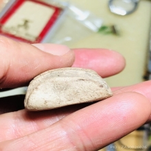 พระลือชัยไตรมาส หลวงปู่แหวน สุจิณโณ จ.เชียงใหม่ ปี2516