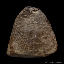 พระรอด พิมพ์นั่งบัว หลวงพ่อลี วัดป่าคลองกุ้ง ปี 2496