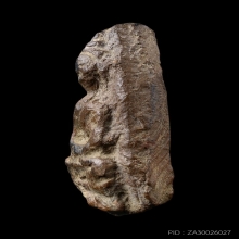 พระรอด พิมพ์นั่งบัว หลวงพ่อลี วัดป่าคลองกุ้ง ปี 2496