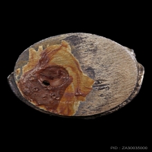 หนุมานเนื้อเงิน ท่านพ่อคง 1 ใน 99 ตน