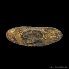 พระชัยฯ หลวงพ่อเผย วัดบางหญ้าแพรก ปิดทอง กรรมการ 