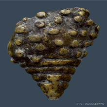 พระอุปคุต หลวงพ่ออิ่ม วัดหัวเขา