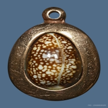 เบี้ยแก้ รุ่น สารพัดดี ปลุกเสกวัดกลางบางแก้ว