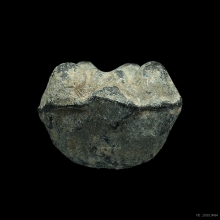 พระปิดตา อ.เอียด วัดดอนศาลา ปี2485 ยันต์ใบพัด เนื้อตะกั่ว