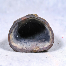 อังคีรส อ.เทพ สาริกบุตร หน้าตักนิ้วครึ่ง