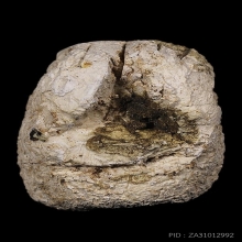 พระปิดตา ล้มลุก คุณแม่บุญเรือน โตงบุญเติม