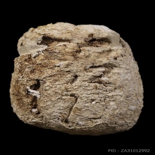 พระปิดตา ล้มลุก คุณแม่บุญเรือน โตงบุญเติม