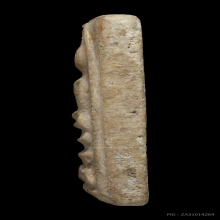 สมเด็จวัดระฆัง 100 ปี พิมพ์ไข่ปลาใหญ่