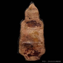 พระร่วงยืนเปิดโลก เนื้อว่านหน้าเงิน กรุวัดมหาธาตุ จ.สุโขทัย