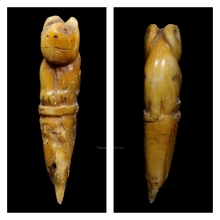 เสือหุบปาก เขี้ยว เนื้อจัด ไม่ทราบที่ (1)