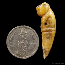 เสือหุบปาก เขี้ยว เนื้อจัด ไม่ทราบที่ (1)