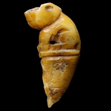 เสือหุบปาก เขี้ยว เนื้อจัด ไม่ทราบที่ (1)