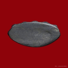 พระกริ่ง จปร (ฉลองสมณศักดิ์ เจ้าคุณถนอมฯ)