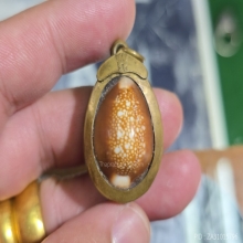 เบี้ยแก้ครูบากฤษณะ