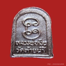 แชมป์ ปรกเนื้อเงิน ช้างคู่ ที่สุดของความหายาก