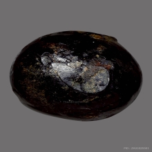 ลูกอมผงยาดำเจ็ดพญาช้างสารหลวงพ่อดิ่ง วัดบางวัว( ตัวจริง )