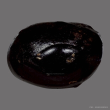 ลูกอมผงยาดำเจ็ดพญาช้างสารหลวงพ่อดิ่ง วัดบางวัว( ตัวจริง )