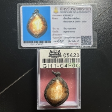 เบี้ยแก้ หลวงพ่อไพล วัดบางแคกลาง 