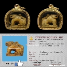 เสือหลวงปู่ยิ้ม วัดหนองบัว จ.กาญจนบุรี