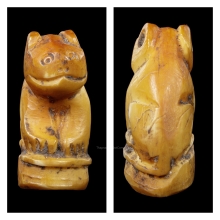 เสือหุบปาก เขี้ยว เนื้อจัด ไม่ทราบที่ (3)