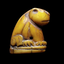 เสือหุบปาก เขี้ยว เนื้อจัด ไม่ทราบที่ (4)