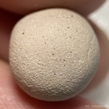 ลูกอมหลวงพ่อสงวน วัดไผ่พันมือ จ.สุพรรณบุรี