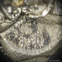 หลวงพ่อผาง อุปคุต เนื้อเงิน 2519 สภาพสวยมาก