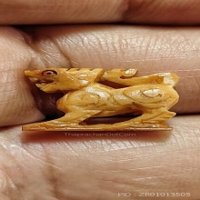 สิงห์หลวงพ่อหอม วัดชากหมาก ระยอง