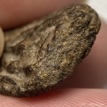 พระปิดตา เนื้อผงคลุกรัก ไม่ทราบที่ 