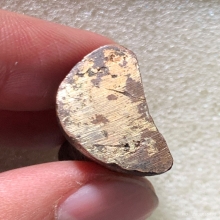 รูปหล่อพระพิฆเนศเทวสถานโบสถ์พราหมณ์ 2530