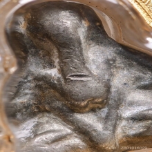 “พระปิดตาแขนชิด“หลวงปู่ศุข ปากคลองมะขามเฒ่า