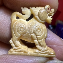 สิงห์มังกร พ่อหอม ชากหมาก สวยใหญ่ล่ำสมบูรณ์