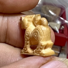 สิงห์มังกร พ่อหอม ชากหมาก สวยใหญ่ล่ำสมบูรณ์