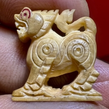 สิงห์มังกร พ่อหอม ชากหมาก สวยใหญ่ล่ำสมบูรณ์