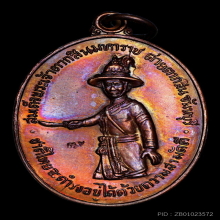 เหรียญพระเจ้าตาก หลวงปู่ทิม