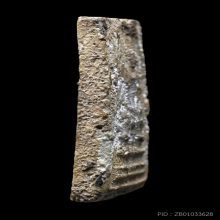 พระสมเด็จบางขุนพรหม สมเด็จพระพุฒาจารย์โต พิมพ์เส้นด้าย